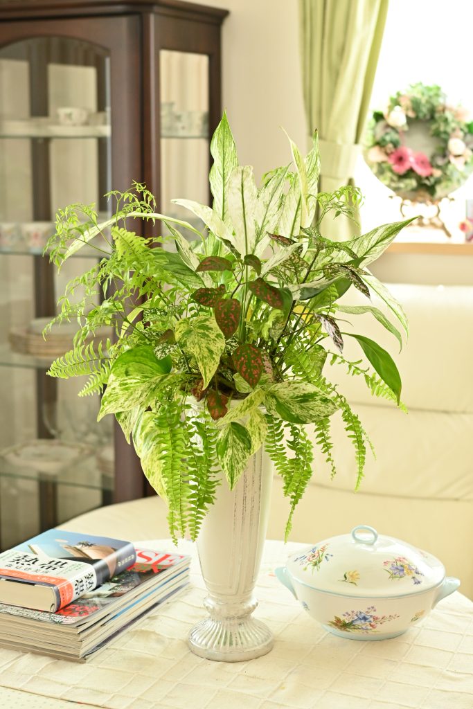 観葉植物　おしゃれな寄せ植え　